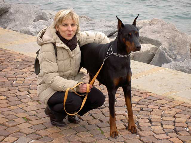 Ch. Tara Tzarine Vom Heckendorf